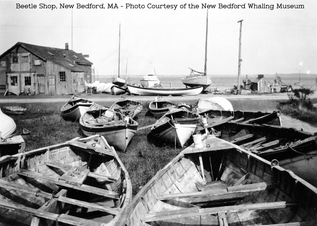 history-beetle-whale-boats